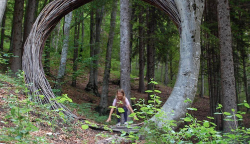 Personas en un bosque

Descripción generada automáticamente con confianza media